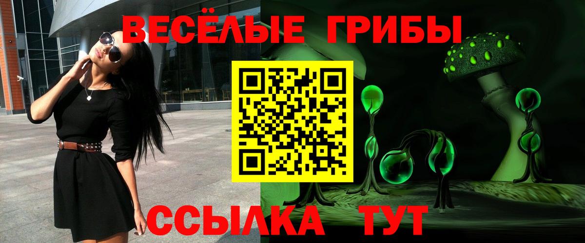 Аргун  Псилоцибиновые грибы GOLDEN TEACHER  Вход с VPN 