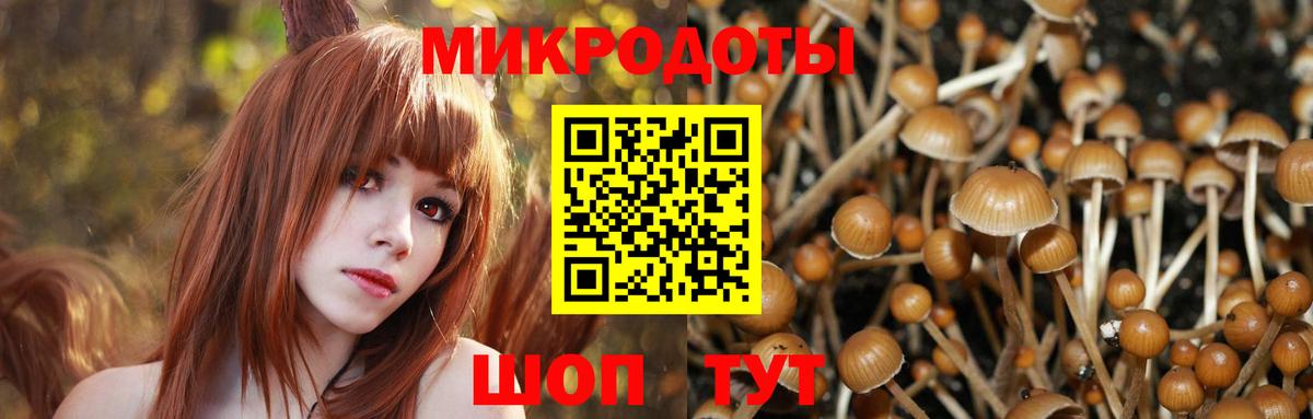 Галлюциногенные грибы GOLDEN TEACHER Аргун